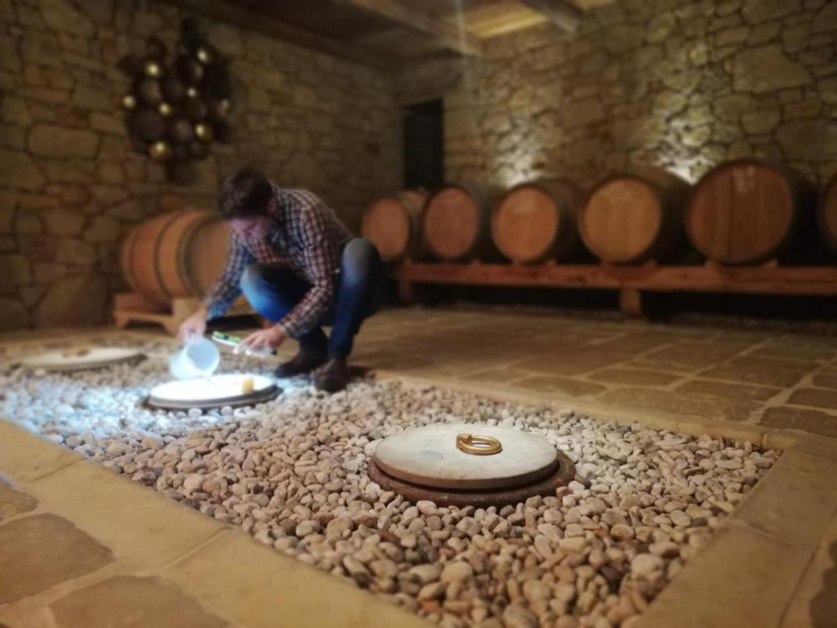 فيلا Maxi Sonce, Odprte Vasi Prvacina المظهر الخارجي الصورة